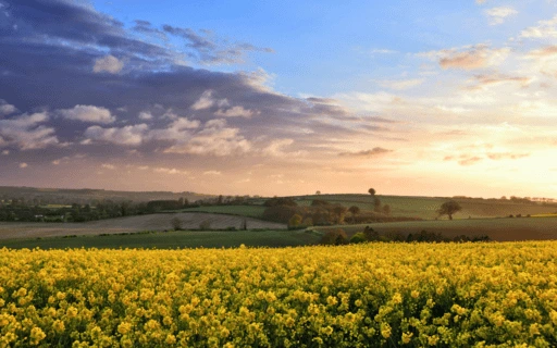 East-Midlands