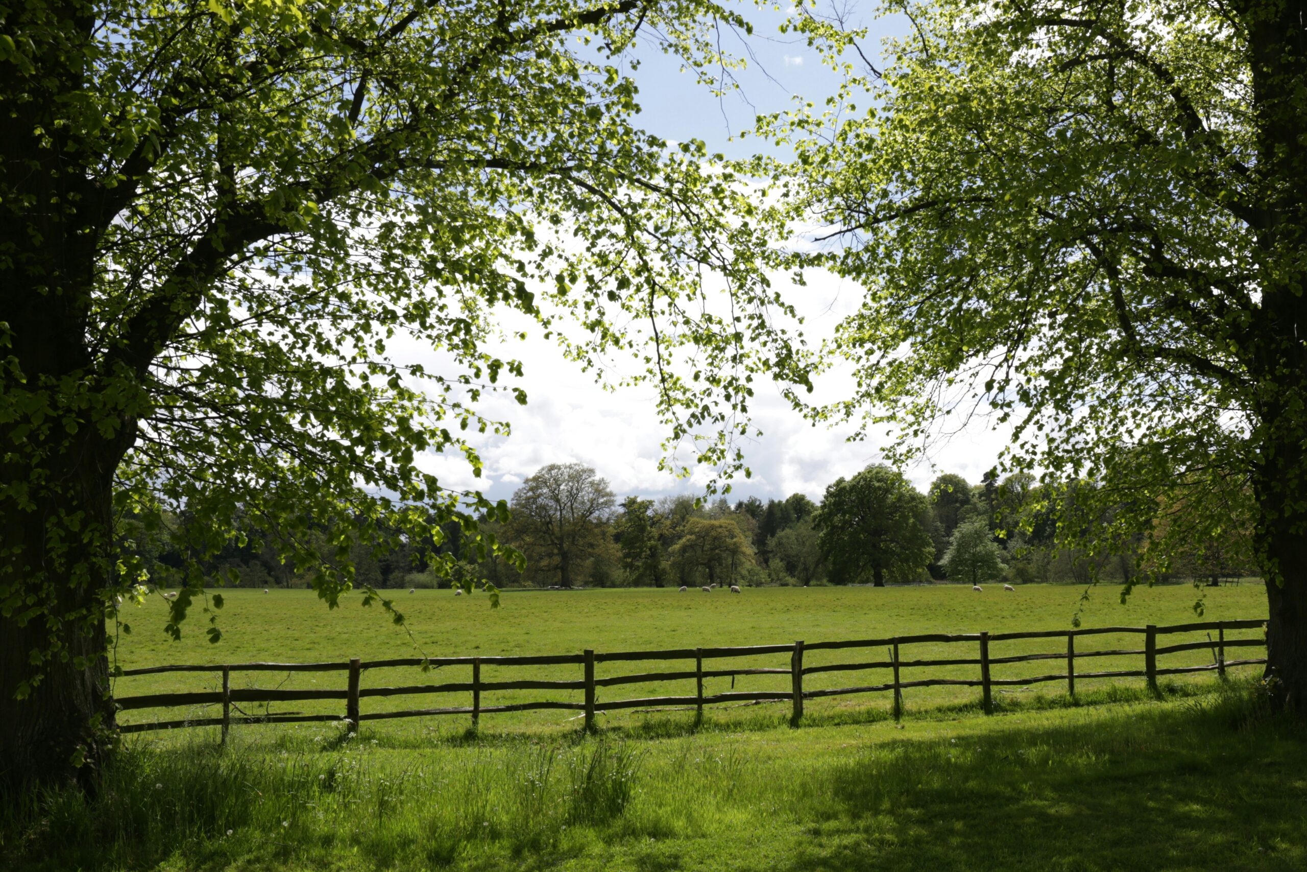 lodge for sale north wales