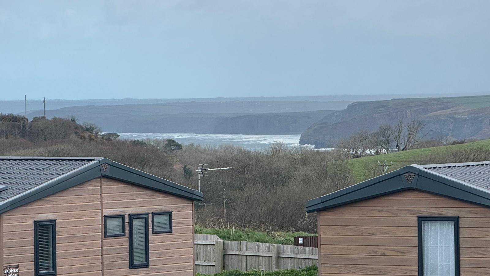 Private Sale Stone Crab