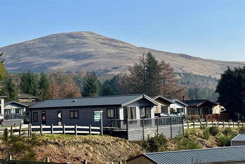 Willerby New Holland